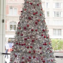 Silver Tree Plinth Full Tree.JPG